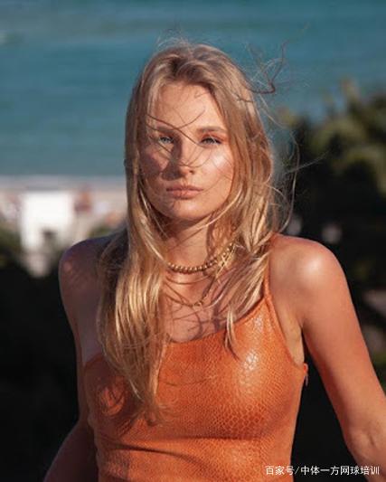 也彰显了网 也彰显了网